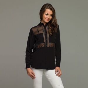 Gold Hawk Colour Block Sheer Blouse